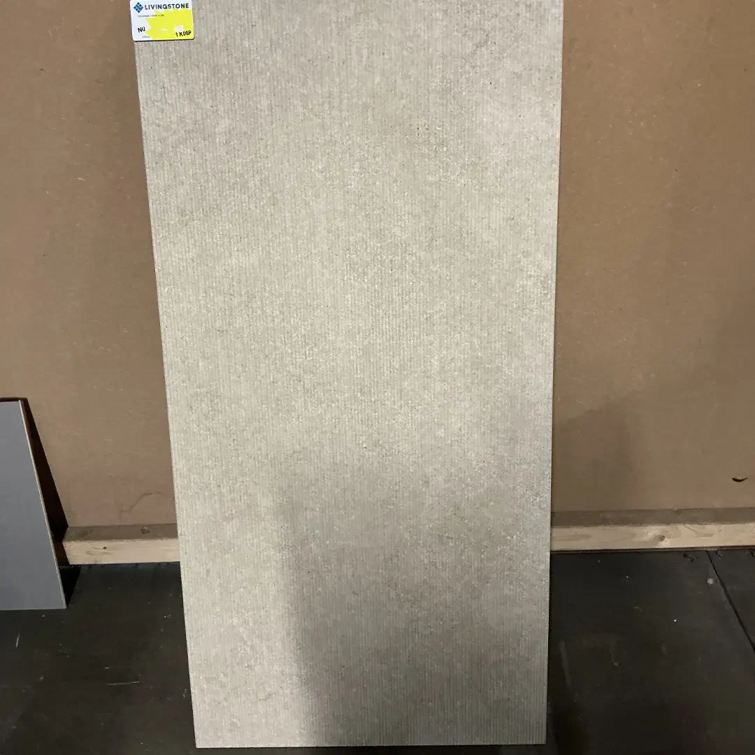 Binnentegel - 60x120 - 236 - 1 koop - 9,30 m2 - € 180.jpeg