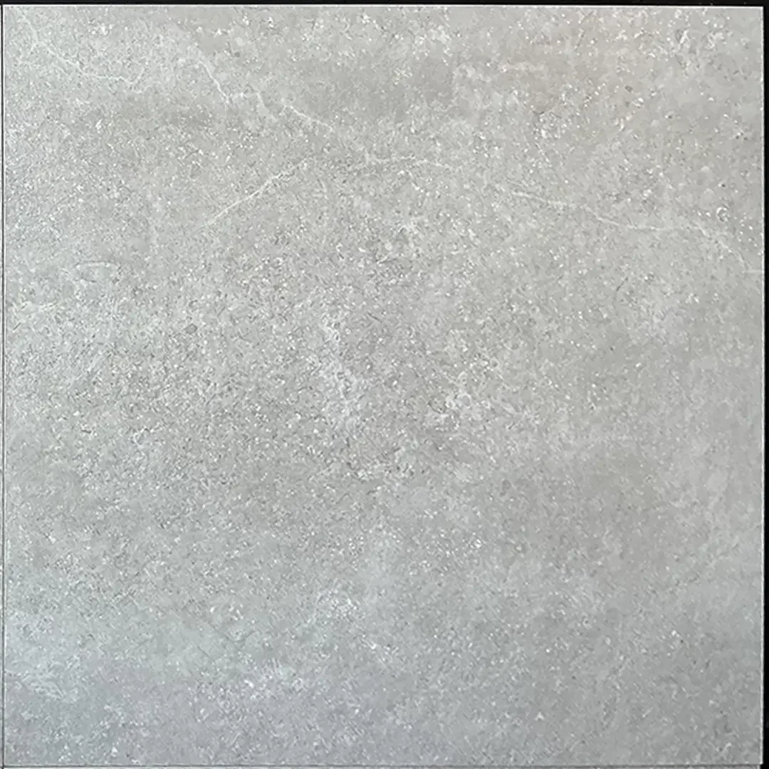 Binnentegel - 60x60 -120140832 - pm2 - €29,95 .jpeg